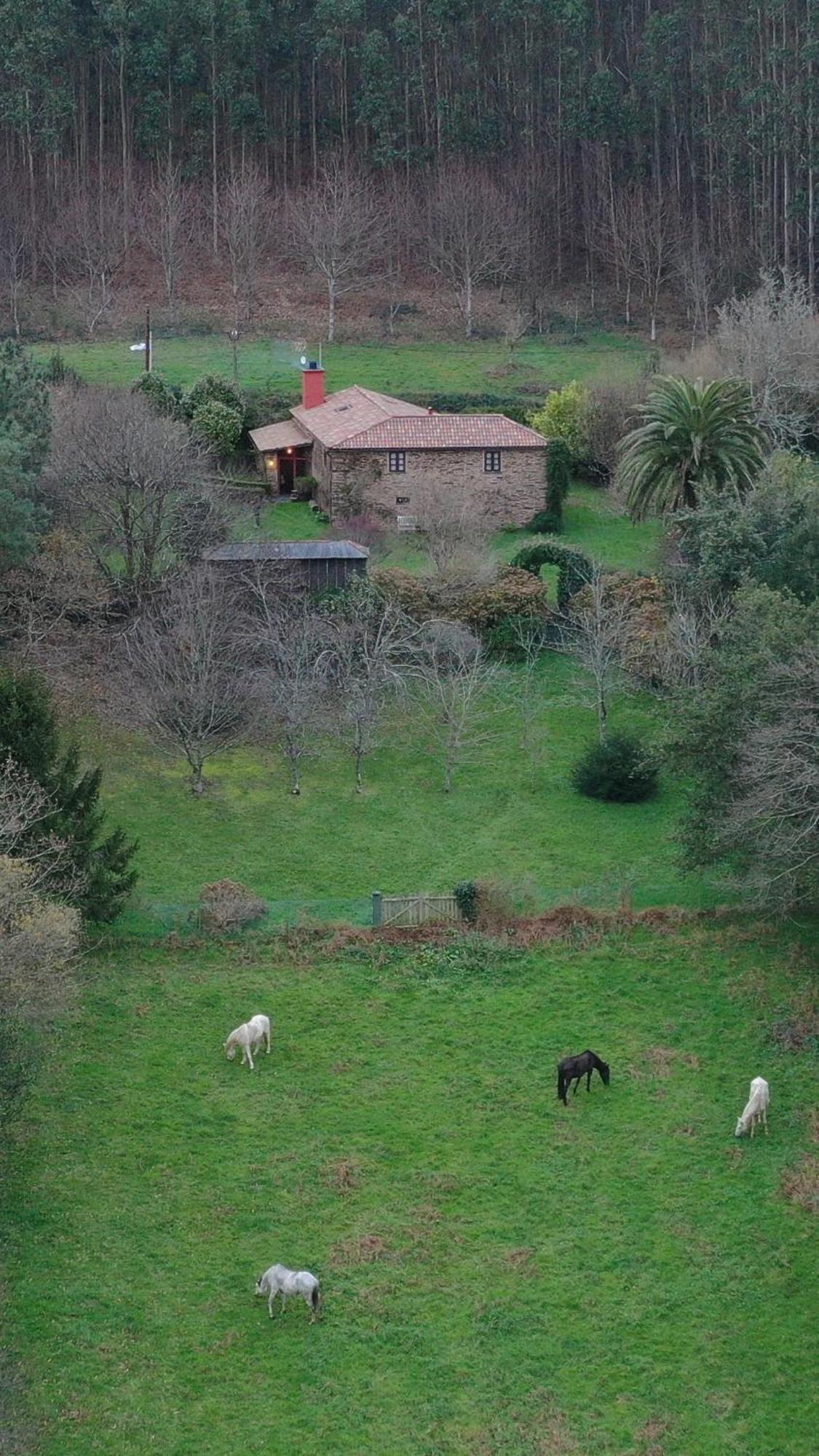 Casa Castro De Crecente Villa Valdoviño Kültér fotó